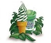 FlavorBurst Cool Mint