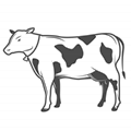 Dairy Products