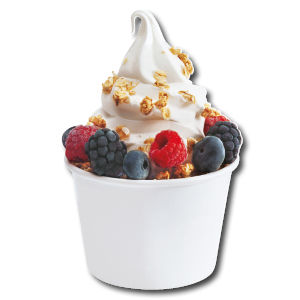 Icetro ISI-163TTH twin flavour soft serve machine