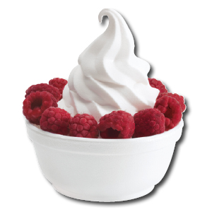 Taylor C717 Twin Soft Serve Freezer