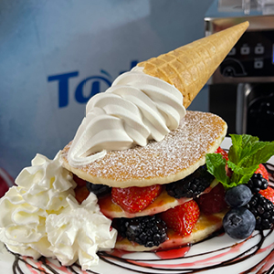 Taylor C606 Combination Shake/Sundae Machine