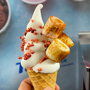 Taylor C713 Soft Serve Freezer