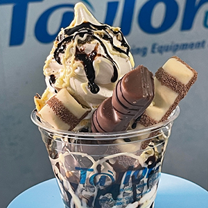 Taylor C606 Combination Shake/Sundae Machine