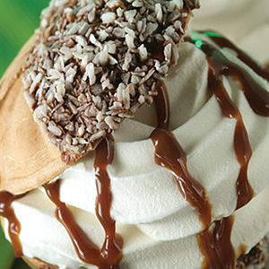 Taylor 736 Heat Treatment soft serve machine
