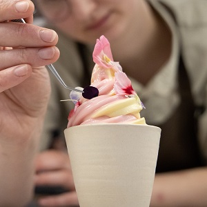 Case Study – “Michelin Star Soft Serve”