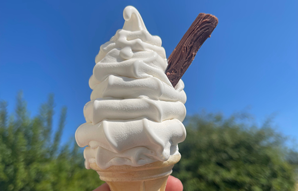 Soft Ice Cream & Frozen Yoghurt Machines