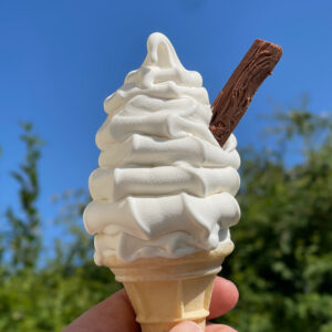 Soft Serve ROI in just 75 days!